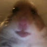 elisey