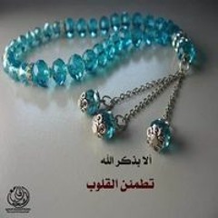Amira M Hisham