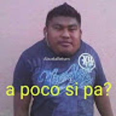 Broke_cerdi r