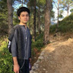 Waqas ahmad