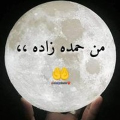 طاير الغربه
