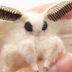 Bombyx Mori