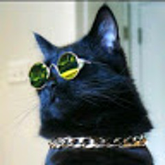 kittykatt1014