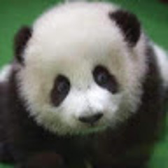 Sandie Thoftdahl Larsen