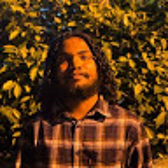 Maahin Rameez