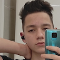 Ілля Ніколаєску