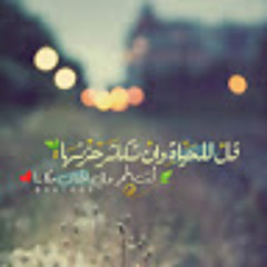 Ahmed Zarea