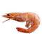 restless._.shrimp