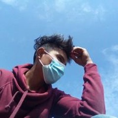Alexander Valla DL Dns
