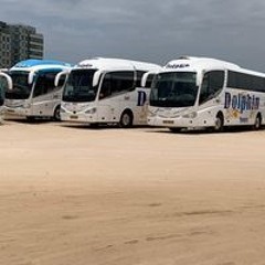 הסעות דולפין