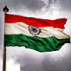 Jogi
