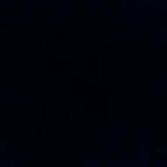 User 282391951