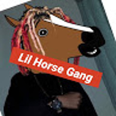 Lil Horse gang