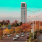 alireza