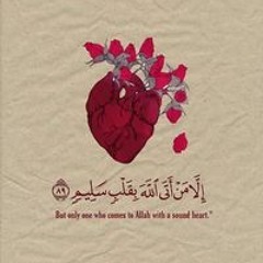 Amira A. Said