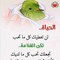 Ashraf Ahmad