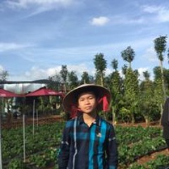 Vỹ Quách