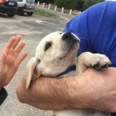 let me hold your hand