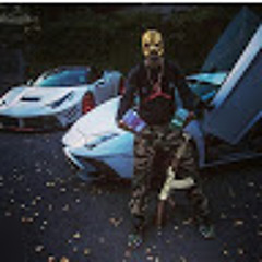 nils575erz