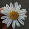 AMRUTHA