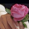 Dawood Almohammed