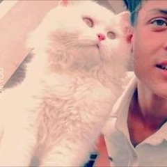 Mohammed Younes