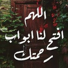 Amjed Massoud