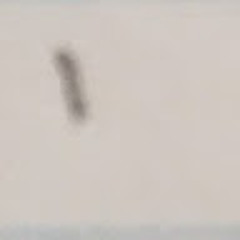 Kobisan Kumarathasan