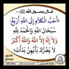 سلسبيل محمود