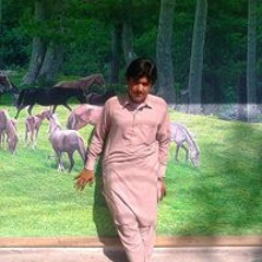 Zubair Khan