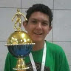 Pedro Henrique Sajdak