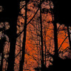 Tyler-Nicholas Branson