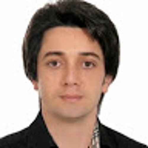 Shahrooz Majidi’s avatar