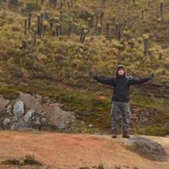 Alejandro Castaño T