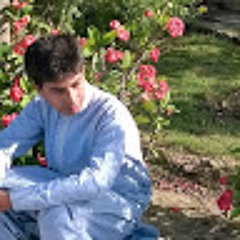 Rai Ali Mardan