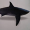 sharks