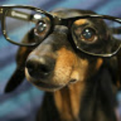 Hanna Aranka Bodnár