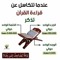أبوأروى سعيد