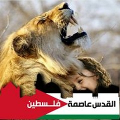 Nesreen Hamdy