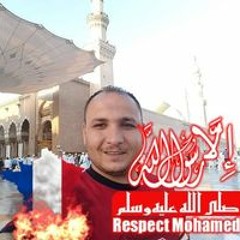 عمرو المصرى