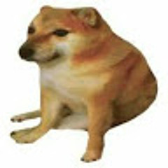 Cheems