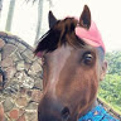 Henriques Bernardo Davane