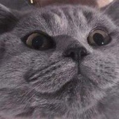 y2mate.com - I Love You  Kevin Rater remix cute  Vietsub  Lyric Tik Tok Song 2.mp3