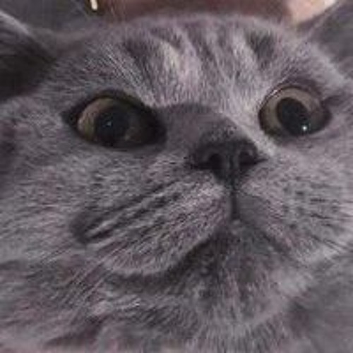 y2mate.com - I Love You  Kevin Rater remix cute  Vietsub  Lyric Tik Tok Song 2.mp3