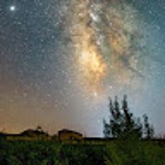 Mostafa kalantarmanesh