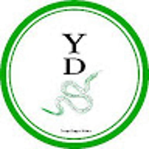 Y.D.S’s avatar