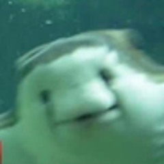 0_0
