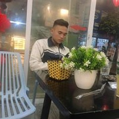 Vũ Hiếu