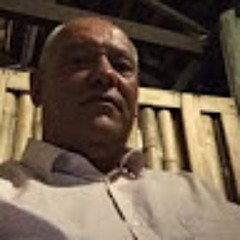 Bill Downie