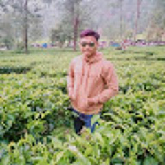 Sahrul official